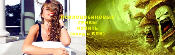 apvp Арсеньев