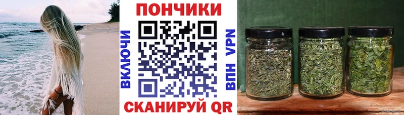 Канабис семена  Сунжа 